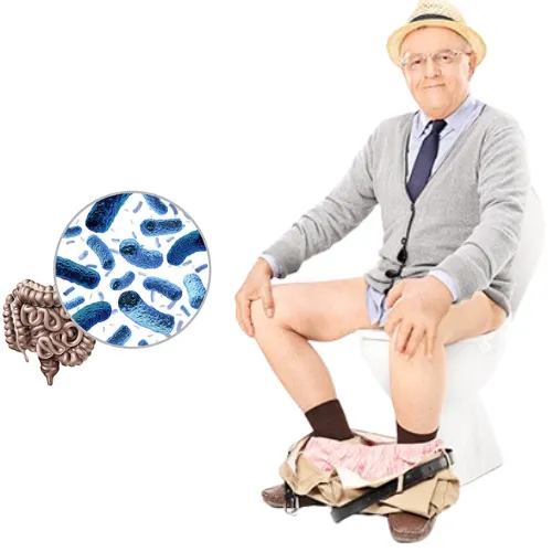 Bowel movement support